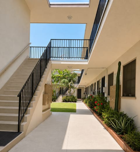 A long hallway with a skylight and a green plant on the right.