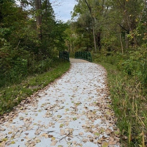 a path leading to a bridge in the woods