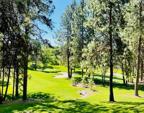 A beautiful golf course surrounded by trees.