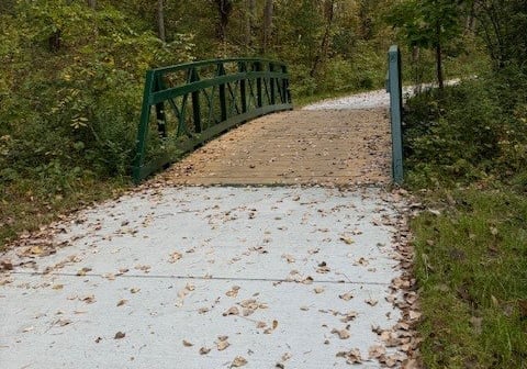 a green bridge over a trail in the woods