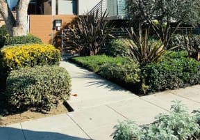Property Exterior at Lido Apartments - 3630 Mentone Ave, Los Angeles, CA