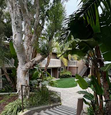 a tree has fallen on a building and a staircase