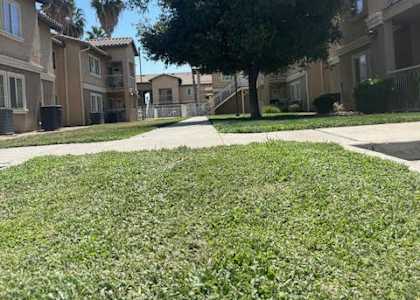 A grassy area in front of apartment buildings.