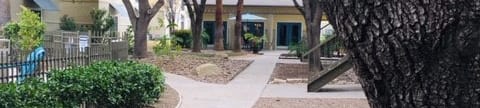 Landscaped courtyards