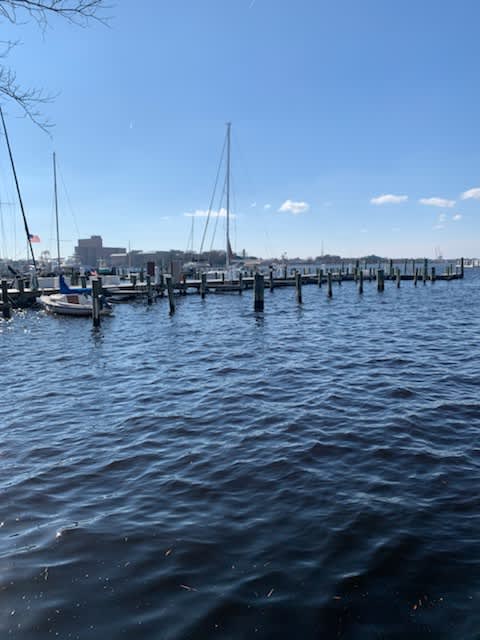 A serene waterfront scene with boats docked at a pier.