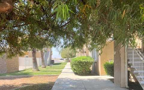 A tree branch hangs over a sidewalk.