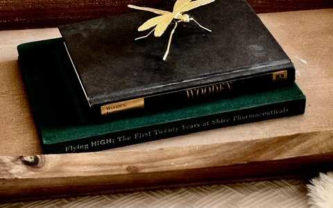 A book with a gold star on the cover is placed on a wooden surface.