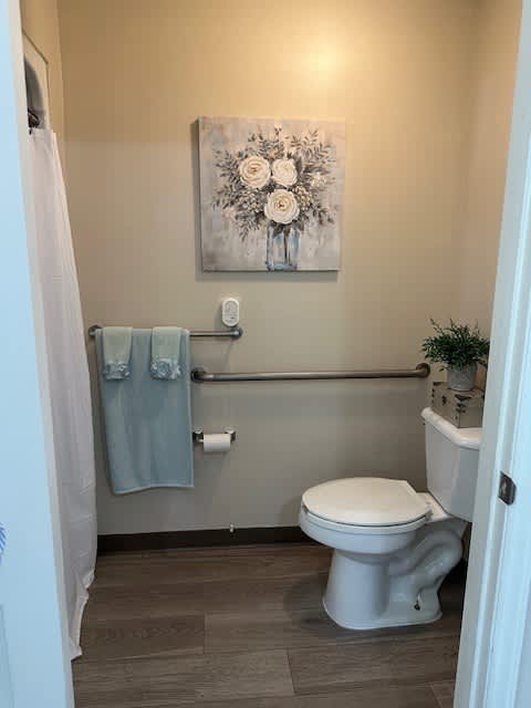 A bathroom with a toilet, a towel, and a painting on the wall.