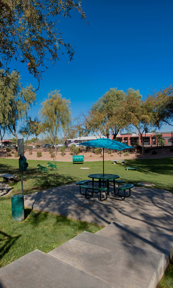 a park with a picnic area and trees