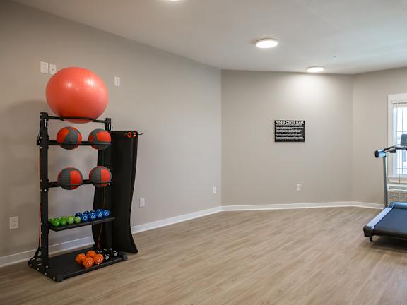A room with a treadmill and a rack of exercise balls.