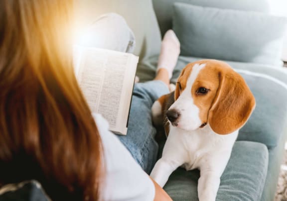 a dog laying on a couch next to a woman reading a book