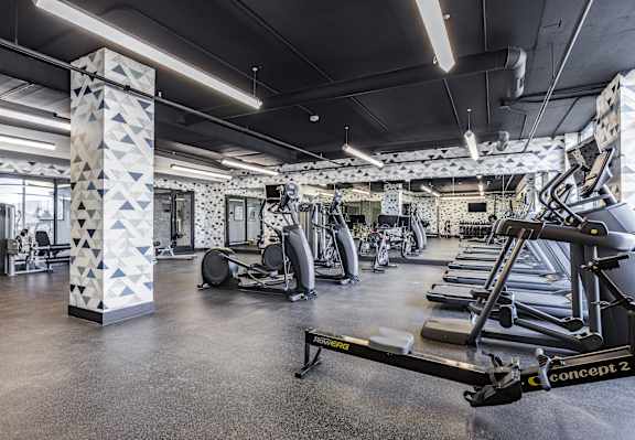 the gym is equipped with weights and cardio equipment