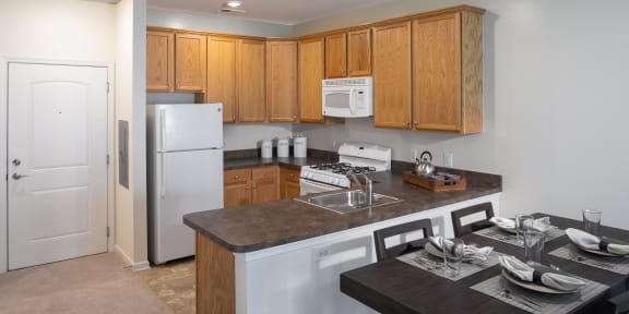 APARTMENT AMENITIES