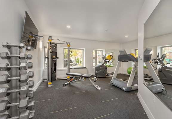 A well-equipped gym with various exercise machines and dumbbells.
