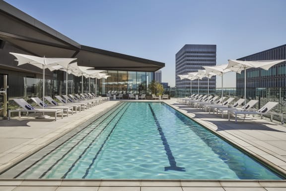 Friends having fun at the park