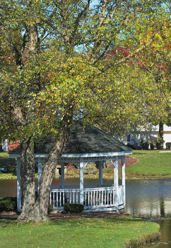 a gazebo sitting next to a pond in a park