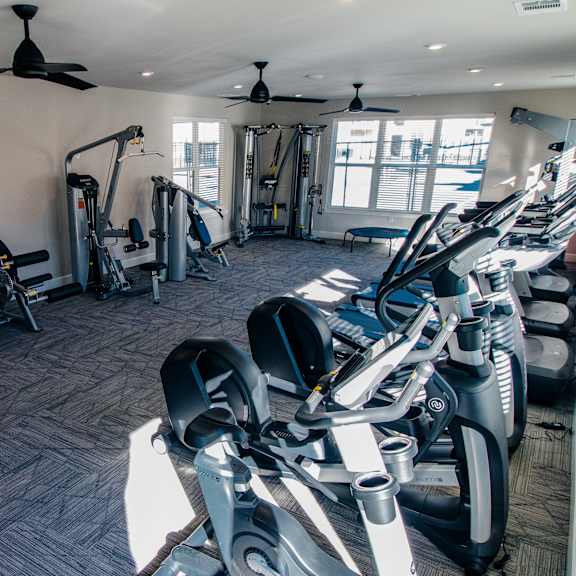 A gym with a variety of exercise equipment including treadmills, stationary bikes, and weight machines.