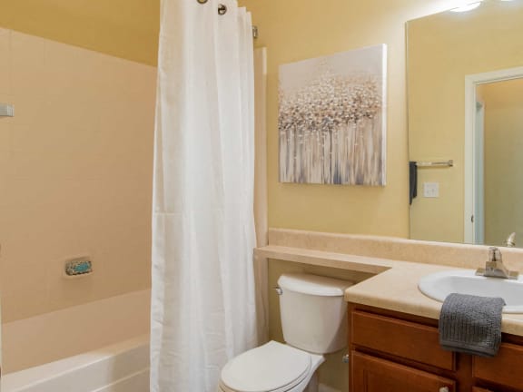 Guest Bathroom at Stone Ridge Apartment Homes, Mobile, AL, 36695