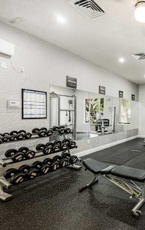 A gym with a variety of equipment including dumbbells, weight plates, and a bench press.