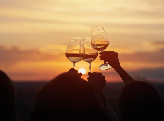 two people holding wine glasses in front of a sunset