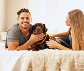 a man and woman laying on a bed with a dog