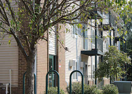 a tree in front of a building