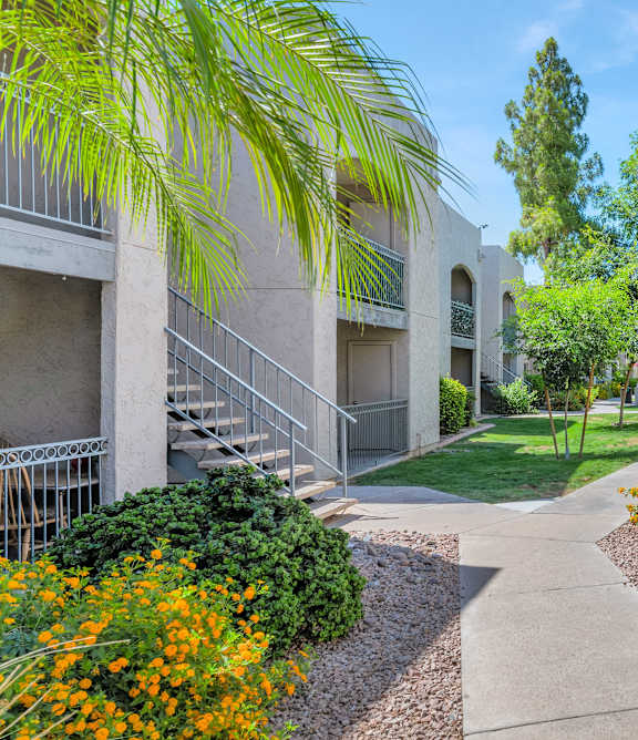 a walkway between two buildings with a palm tree in the foreground
