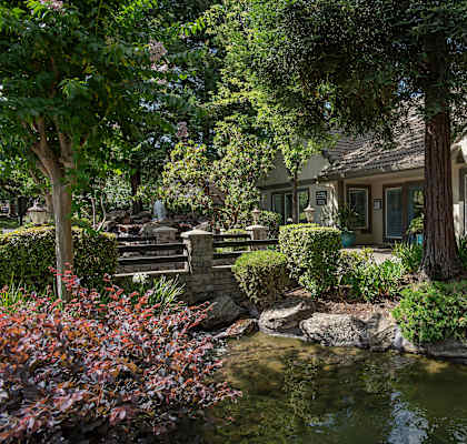Beautiful Pond at Stanford Heights Apartments, California