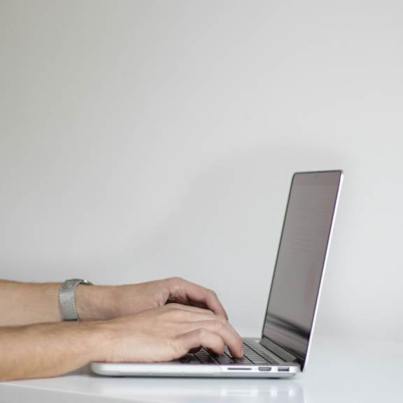 A person is typing on a laptop with a green plant beside it.