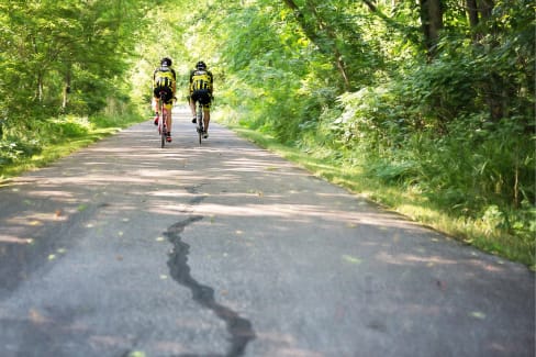 Two cyclists wearing yellow jerseys ride down a tree-lined road.
