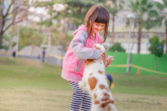 a young girl playing with her dog in a park at Mosaic on the River Apartments, Richland, Washington