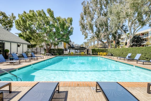 A large swimming pool surrounded by trees and lounge chairs. at Marina Harbor, California