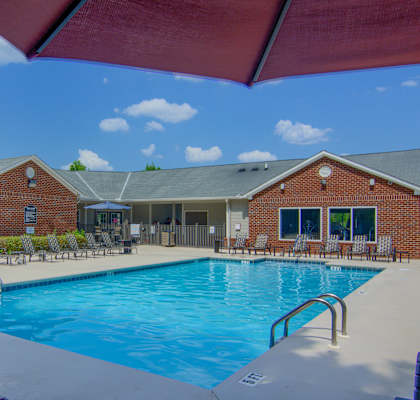 our apartments showcase an unique swimming pool