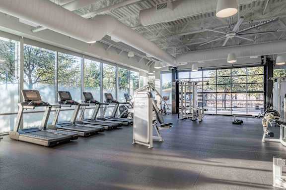 A gym with treadmills and exercise equipment.