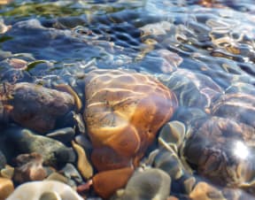 a close up of rocks in the water