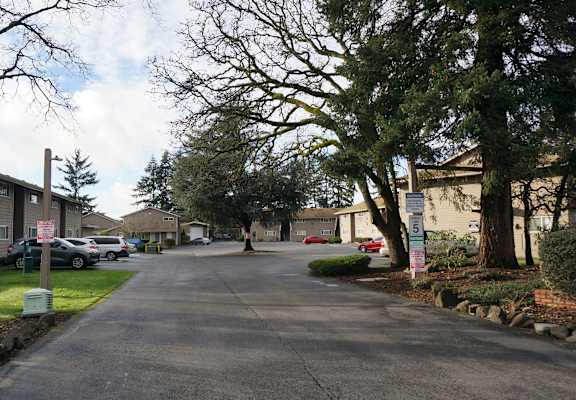 A residential street with houses on both sides and cars parked along the curb.
