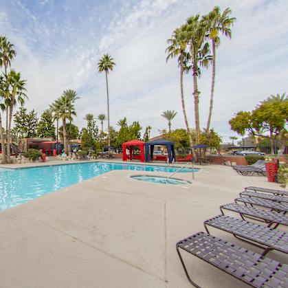our resort style swimming pool is surrounded by palm trees