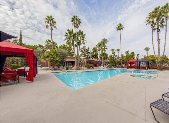our resort style swimming pool is surrounded by palm trees