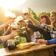 A group of people toasting with wine glasses at a table.