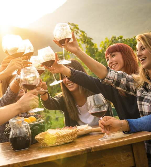 A group of people toasting with wine glasses at a table.