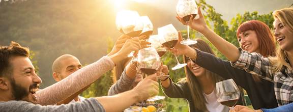 A group of people toasting with wine glasses at a table.