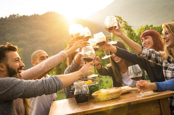 A group of people toasting with wine glasses at a table.