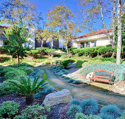 A garden with a bench and a pathway.
