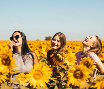 three women in sunflower field
