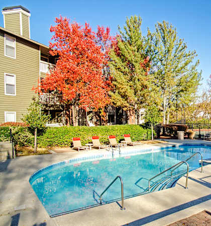 the swimming pool at our apartments