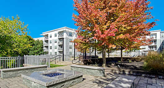 A courtyard with a fountain surrounded by trees and a building in the background.