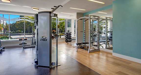 A gym with a variety of equipment including a Cybex machine.