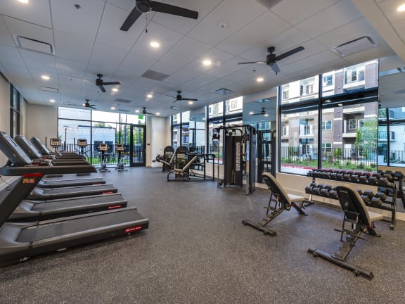 a large fitness room with cardio equipment and large windows