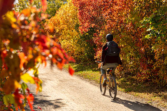 Person riding a bike down a dirt road with autumn leaves on the sides at Plaza at Pinnacle Hills, Arkansas