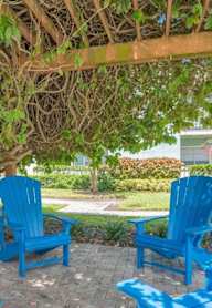 Two blue chairs are on a patio under a tree.